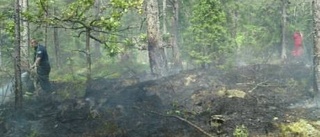 Brandmän jobbar med skogsbrand