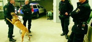 Rätt hund - guld värd i polisarbetet