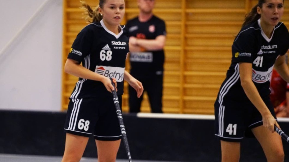 Fyra poäng blev skörden för Linköping IBK i helgen. Ändå var Libk missnöjt med spelet i stort i de allsvenska matcherna.