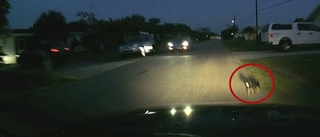 Smile! You?re on Dashcam