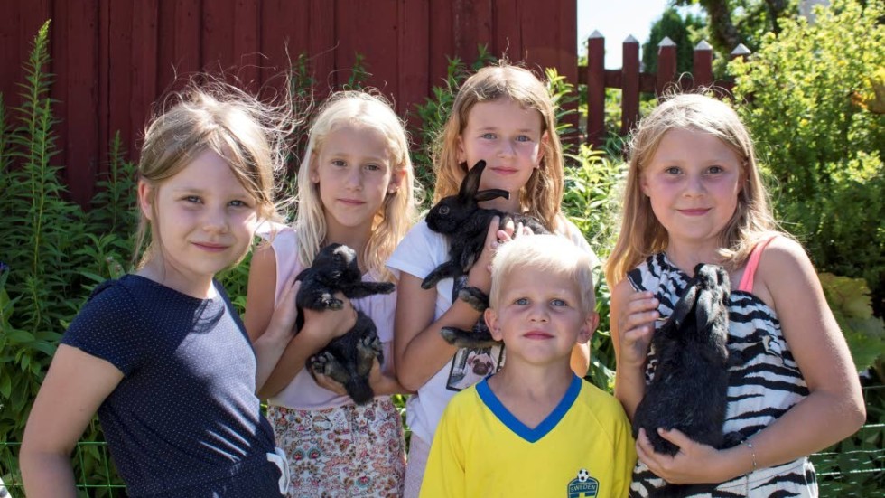 Märta Stolt, Ebba Sigvant, Nova Jansson och Emilia Person-Slatte och Vidar Persson gav kaninerna olika namn.