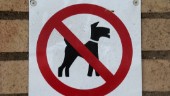 Nödvändigt att omhänderta hundarna
