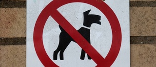 Nödvändigt att omhänderta hundarna