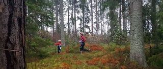 Här jagar barnen "älgen" i skogen