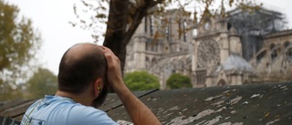 "Sorgen över branden i Notre-Dame"