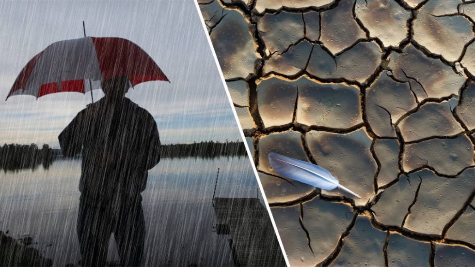 SMHI varnar för både kraftiga regnskurar och för extrem torka i skog och mark.