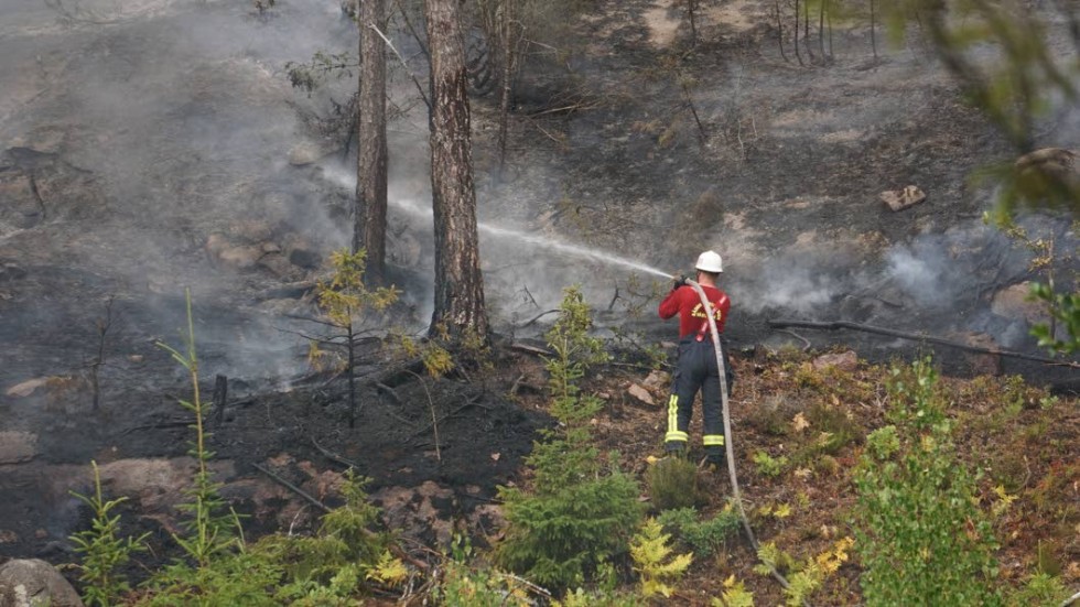 En av sommarens många utryckningar. Skogsbrand utanför Getterum den 22 juli.