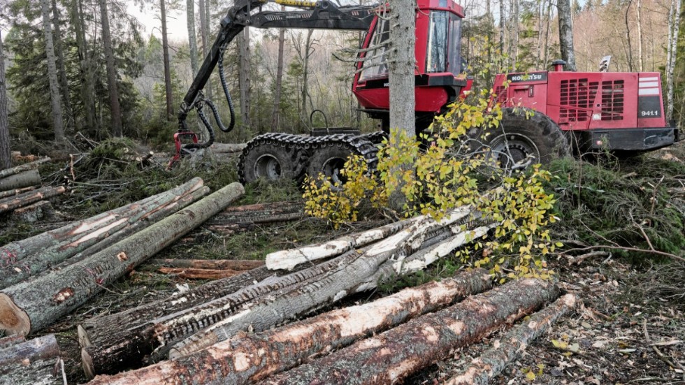 Skogsindustrierna ser en minskad export. Arkivbild.