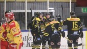 Hockeyextra: Vimmerby vann igen