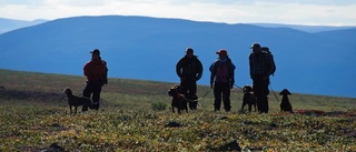 Jägare åtalas efter jaktolycka