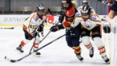 Luleå Hockeys jubel – efter stora rysaren