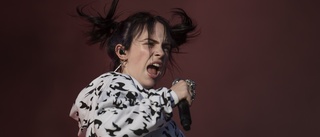 Billie Eilish avbröt konsert av säkerhetsskäl
