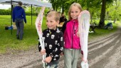 Fjärilshåvar och bihotell – Uppsalaborna firar i naturen
