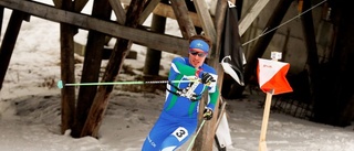 Fyra SM-guld för Sävast Ski Team