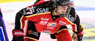 Luleå Hockeys jättetalang skadad i landskamp