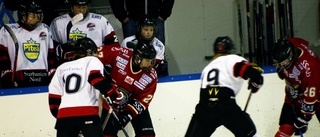 Luleå Hockeys talanger visade klass i Lilla VM