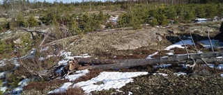16 hektar bergtäkt planeras utanför Gnesta – Holmen vill bryta tre miljoner ton sten i 25 år ✓Väcker kritik