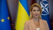 Ukrainsk minister vill se Andersson i Kiev