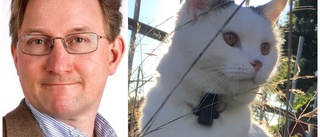 Därför lämnar han kommunpolitiken – efter 21 år • "Katten dog"