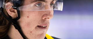 Kalix Hockey hoppas på nytt fynd från allsvenskan – värvar back