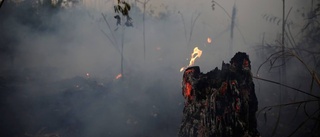 Björklund: Amazonas tas som gisslan