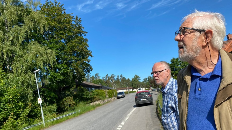 Olle Granath t.h och Jan-Olof Karlsson bor båda på Stranden i Storebro anseratt kommunen behöver ta bort träden intill Strandvägen så snart som möjligt.