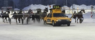 Spiken höll för trycket på Bodentravet