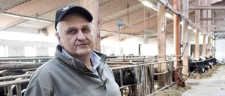 Mjölkpriset slår hårt mot bönderna i norr