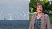 Vill bygga vindkraftpark – nära häckningsområde • Kommunen säger både ja och nej: "Vi saknar flera svar"