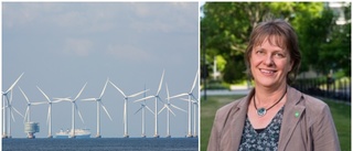 Vill bygga vindkraftpark – nära häckningsområde • Kommunen säger både ja och nej: "Vi saknar flera svar"