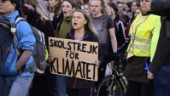 Thunberg: Känner mig dumförklarad som väljare