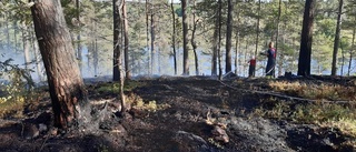 Skogsbranden söder om Västervik: Tankbil kvar för efterbevakning