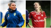 IFK-yttern om stjärnmötet: "Spelaren som motståndarlagen fruktade"