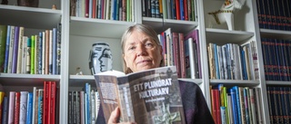 "En viktig bok om plundringen av Gotlands kulturarv"