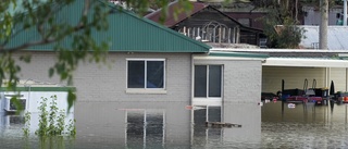 Fler döda i stora översvämningar i Australien