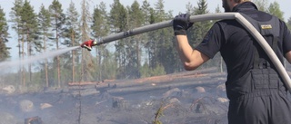 Tio enheter bekämpade skogsbrand