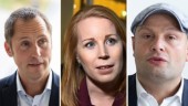 Pelling: "Bra för Sverige med liberal politik"