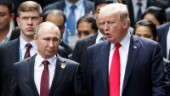 Utreder Trumps förtjusning i Putin