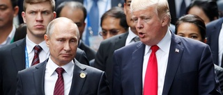 Utreder Trumps förtjusning i Putin