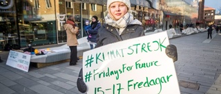 Gnistan tändes av Greta Thunberg