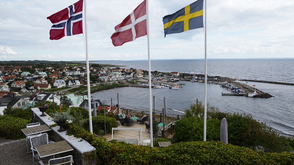 Debattören föreslår skapandet av ett gemensamt nordiskt språk, som svenskar, danskar, norrmän, finländare, islänningar och färingar samt grönlänningar skulle kunna förstå och tala. 