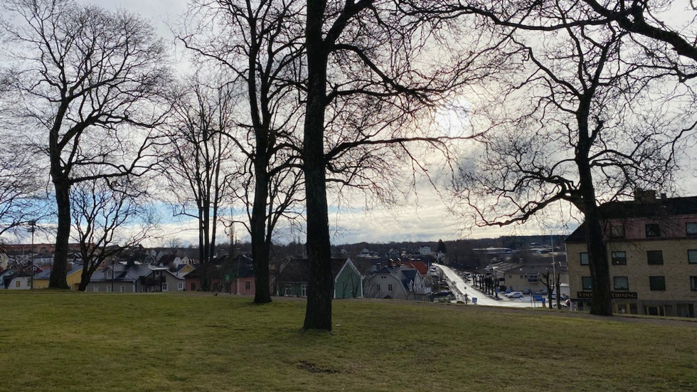 Träden står vinternakna i kyrkparken i Vimmerby. Men bakom molnen i söder kan både sol och vår skönjas. Eventuellt kom våren redan i måndags!