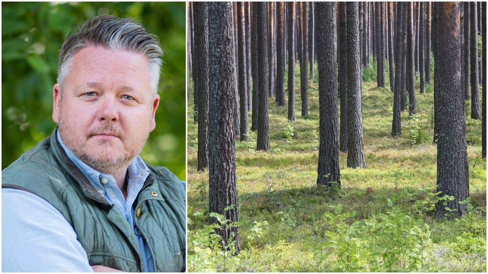 Vissa skogsägare investerar i skog för att maximera virkesproduktionen, andra för att bidra till minskade klimatutsläpp och åter andra för att skydda och bevara artrikedom, skriver Johan Asp, regionchef Skogssällskapet i Östergötland.