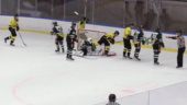 Höjdpunkter: ESK Hockey-Vännäs HC