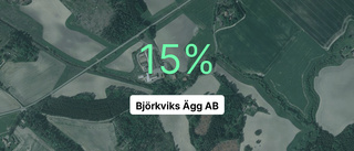 Kanonår för Björkviks ägg – högsta vinstmarginalen på flera år