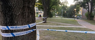 Misstänkt våldtäkt i park i Uppsala