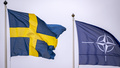 Stå upp för demokratin i Sverige