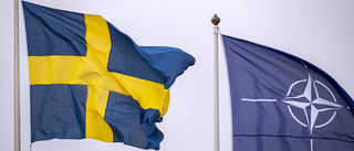 Stå upp för demokratin i Sverige