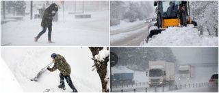 Snösmocka på ingång i Skellefteå – SMHI överväger varning