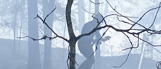 VARNINGEN: Mycket stor risk för skogsbrand